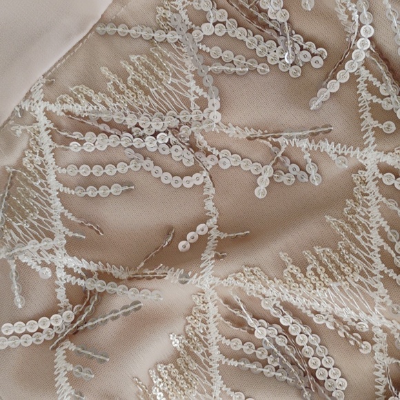 Miss Ord Lantern Sleeve Sequin Fringe Dress - Picture 5 of 8